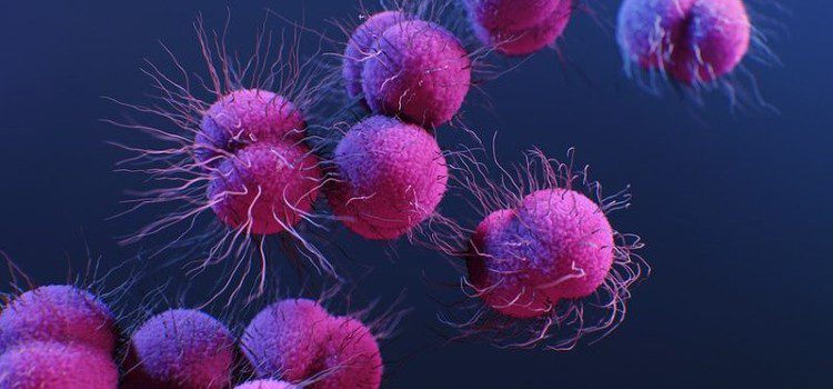 remedios-olvidados-celula cancerosa